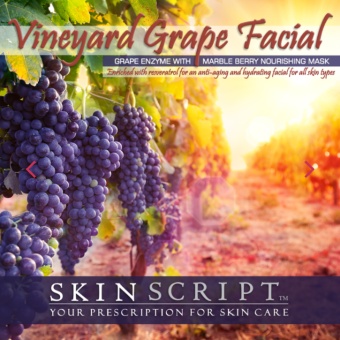 Vineyard Grapes